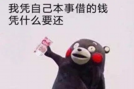 云梦专业讨债公司有哪些核心服务？